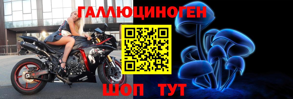 Псилоцибиновые грибы Psilocybe  Вход с VPN  как найти наркотики  Белореченск 